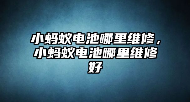 小螞蟻電池哪里維修，小螞蟻電池哪里維修好