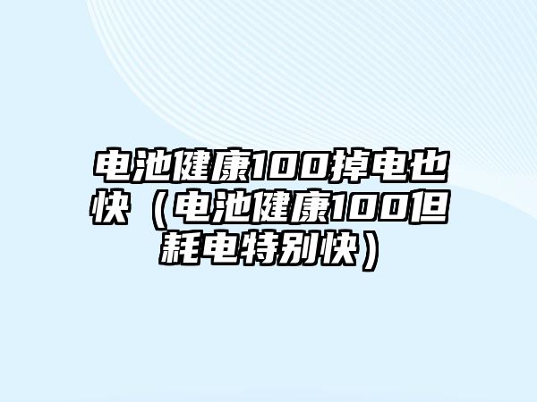 電池健康100掉電也快（電池健康100但耗電特別快）