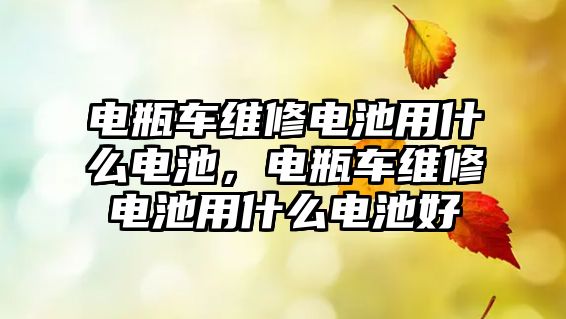 電瓶車維修電池用什么電池，電瓶車維修電池用什么電池好