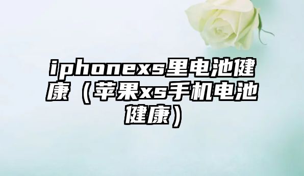 iphonexs里電池健康（蘋果xs手機電池健康）