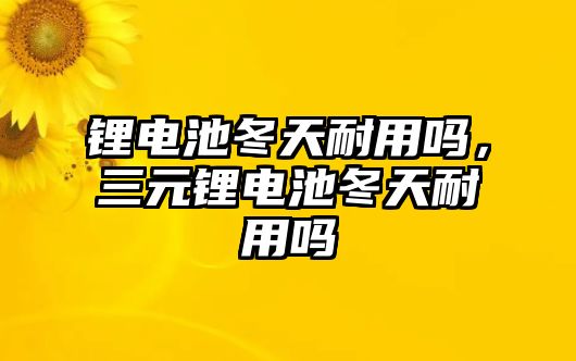 鋰電池冬天耐用嗎，三元鋰電池冬天耐用嗎