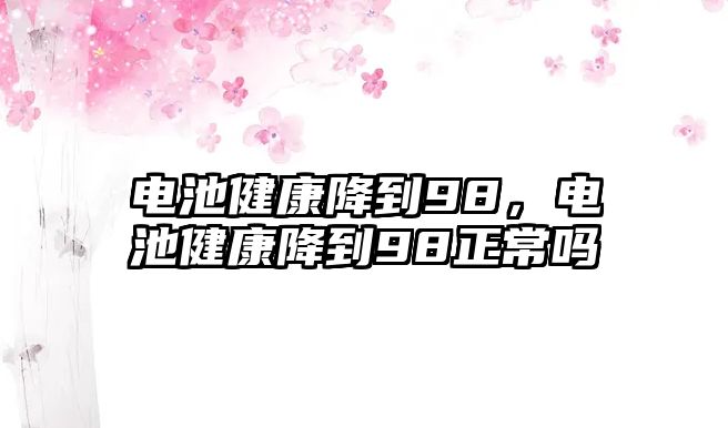 電池健康降到98，電池健康降到98正常嗎