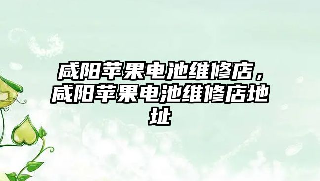 咸陽蘋果電池維修店，咸陽蘋果電池維修店地址