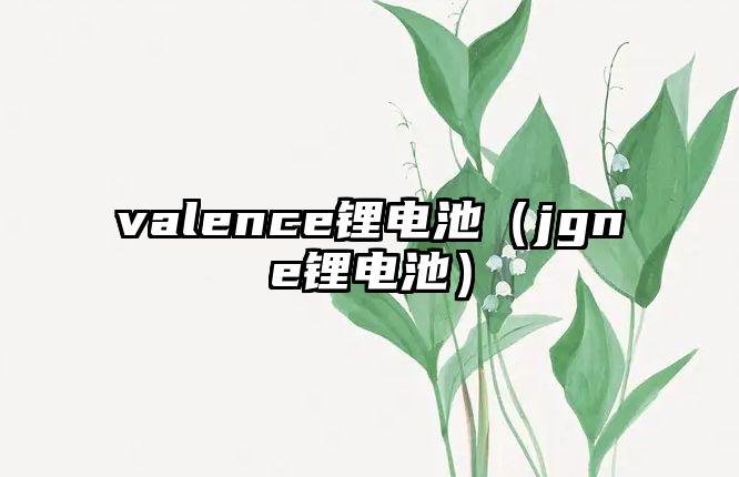 valence鋰電池（jgne鋰電池）