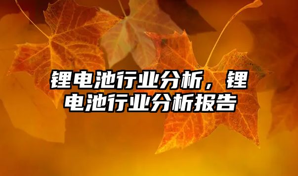 鋰電池行業分析，鋰電池行業分析報告