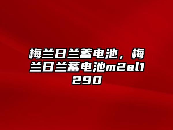 梅蘭日蘭蓄電池，梅蘭日蘭蓄電池m2al1290