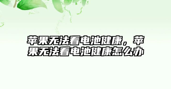 蘋果無法看電池健康，蘋果無法看電池健康怎么辦