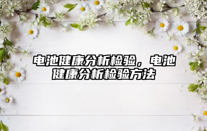 電池健康分析檢驗，電池健康分析檢驗方法