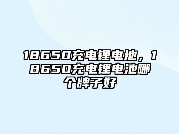 18650充電鋰電池，18650充電鋰電池哪個牌子好