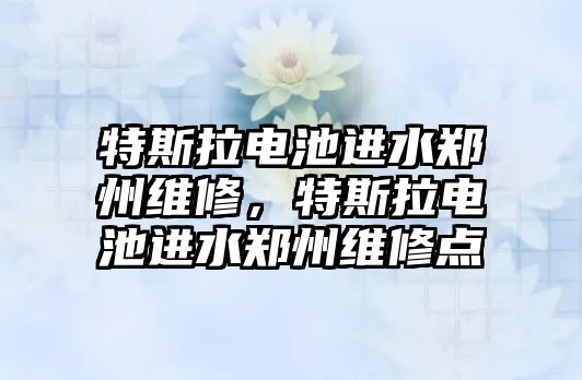 特斯拉電池進水鄭州維修，特斯拉電池進水鄭州維修點