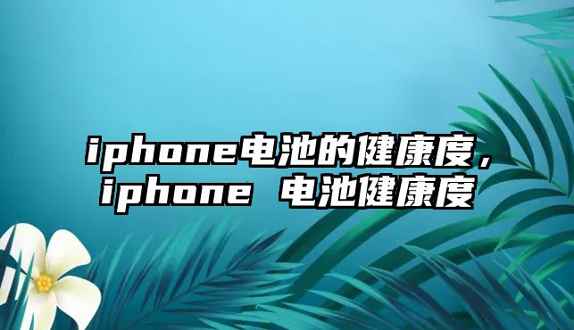 iphone電池的健康度，iphone 電池健康度