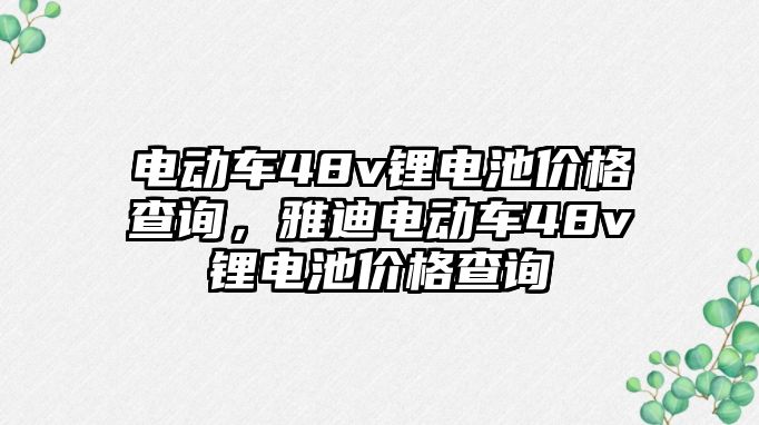 電動車48v鋰電池價格查詢，雅迪電動車48v鋰電池價格查詢
