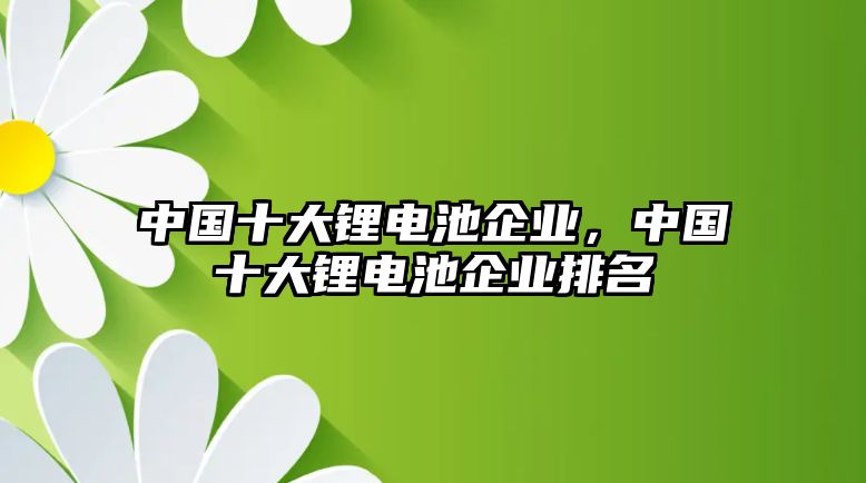 中國十大鋰電池企業，中國十大鋰電池企業排名