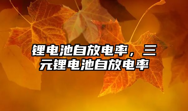 鋰電池自放電率，三元鋰電池自放電率