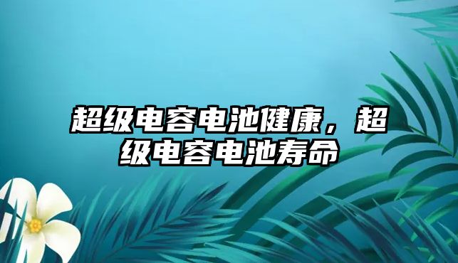 超級電容電池健康，超級電容電池壽命