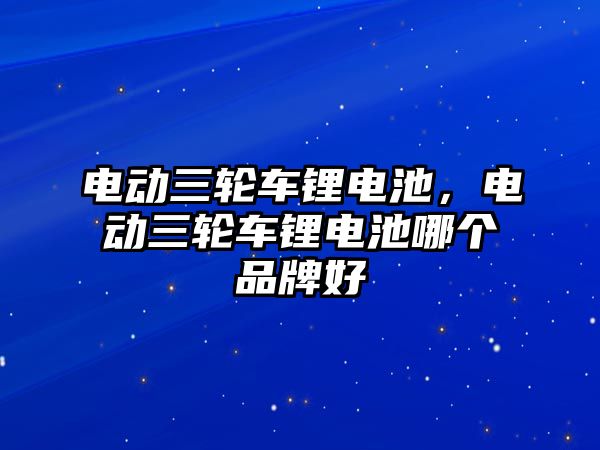 電動(dòng)三輪車鋰電池，電動(dòng)三輪車鋰電池哪個(gè)品牌好