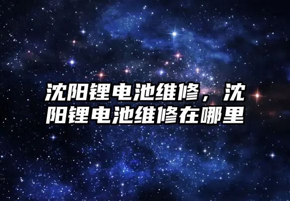 沈陽鋰電池維修，沈陽鋰電池維修在哪里