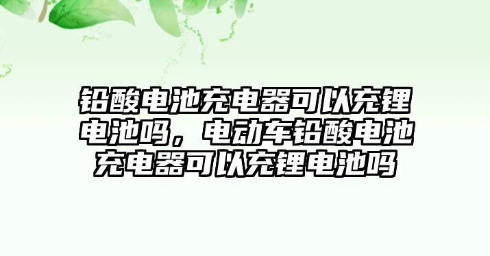 鉛酸電池充電器可以充鋰電池嗎，電動車鉛酸電池充電器可以充鋰電池嗎