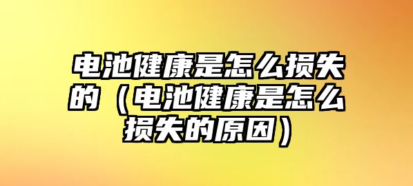 電池健康是怎么損失的（電池健康是怎么損失的原因）