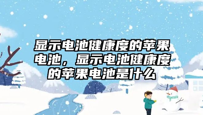 顯示電池健康度的蘋(píng)果電池，顯示電池健康度的蘋(píng)果電池是什么