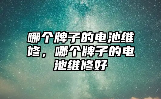 哪個牌子的電池維修，哪個牌子的電池維修好