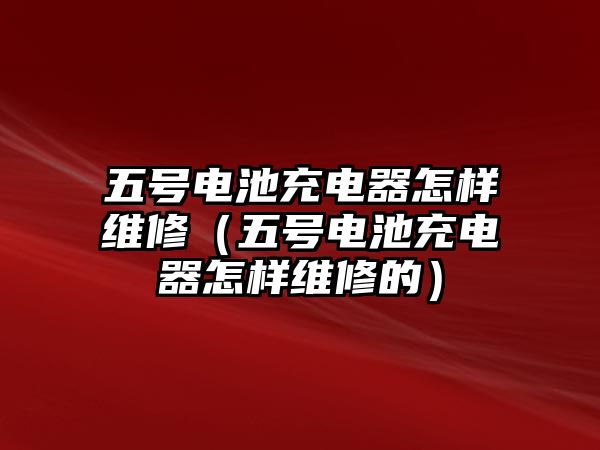 五號電池充電器怎樣維修（五號電池充電器怎樣維修的）