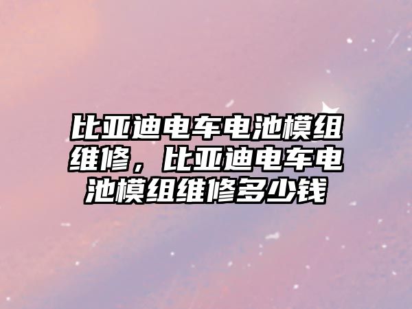 比亞迪電車電池模組維修，比亞迪電車電池模組維修多少錢