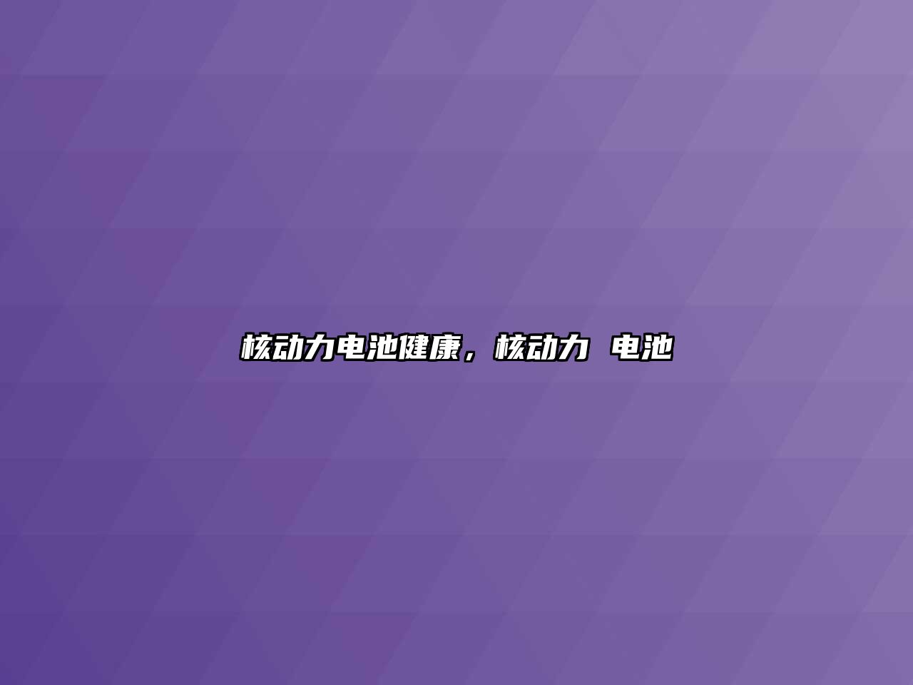 核動力電池健康，核動力 電池