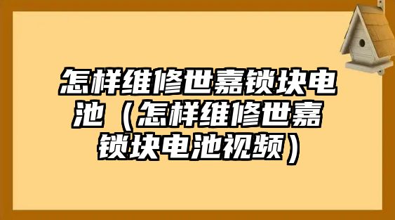 怎樣維修世嘉鎖塊電池（怎樣維修世嘉鎖塊電池視頻）