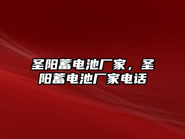 圣陽蓄電池廠家，圣陽蓄電池廠家電話