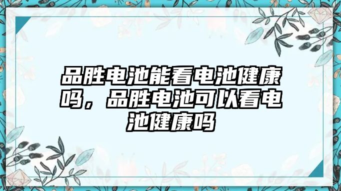 品勝電池能看電池健康嗎，品勝電池可以看電池健康嗎