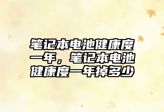 筆記本電池健康度一年，筆記本電池健康度一年掉多少