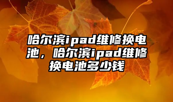 哈爾濱ipad維修換電池，哈爾濱ipad維修換電池多少錢