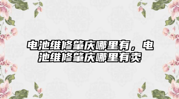 電池維修肇慶哪里有，電池維修肇慶哪里有賣