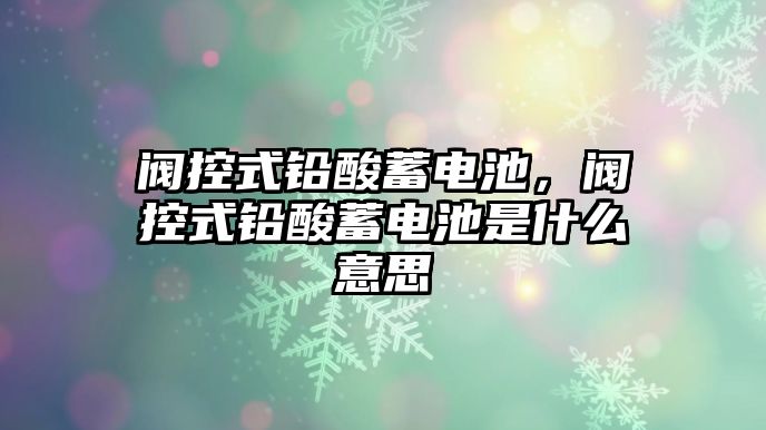 閥控式鉛酸蓄電池，閥控式鉛酸蓄電池是什么意思