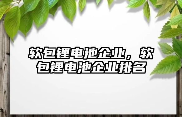 軟包鋰電池企業，軟包鋰電池企業排名