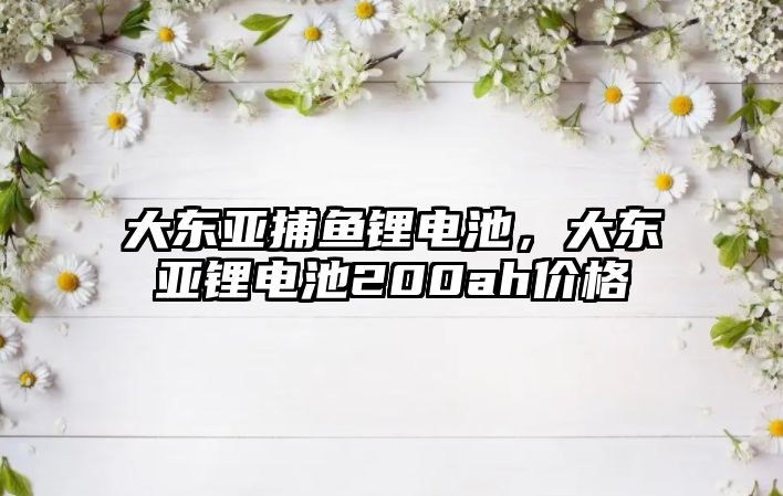 大東亞捕魚鋰電池，大東亞鋰電池200ah價格