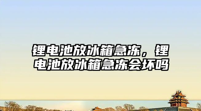 鋰電池放冰箱急凍，鋰電池放冰箱急凍會壞嗎