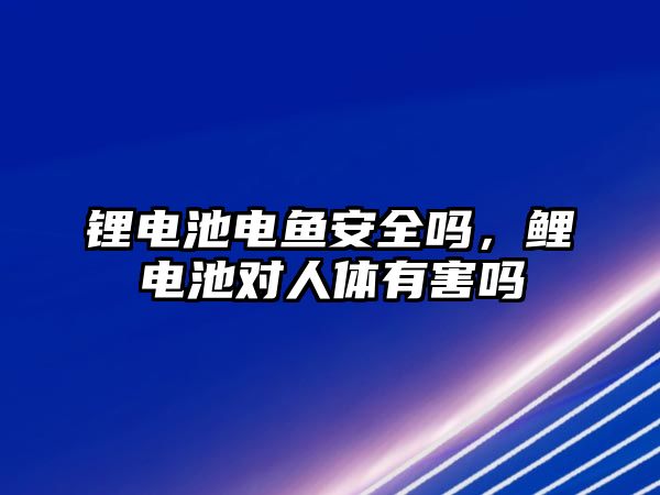 鋰電池電魚安全嗎，鯉電池對人體有害嗎