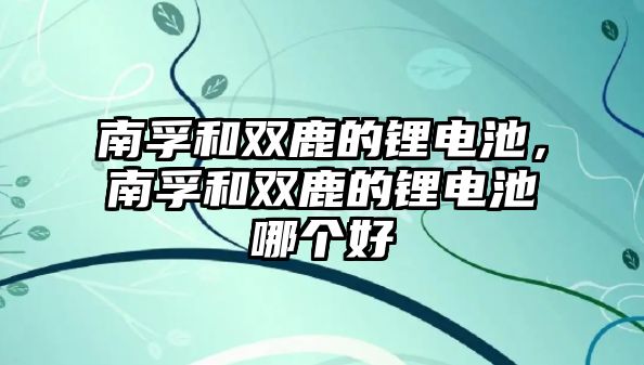 南孚和雙鹿的鋰電池，南孚和雙鹿的鋰電池哪個好