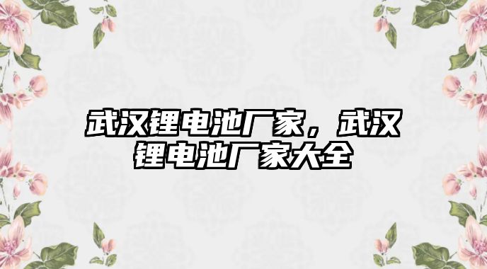 武漢鋰電池廠家，武漢鋰電池廠家大全