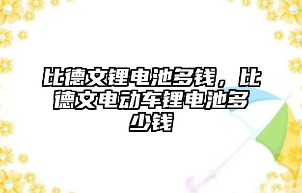 比德文鋰電池多錢，比德文電動車鋰電池多少錢