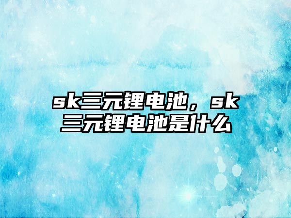 sk三元鋰電池，sk三元鋰電池是什么