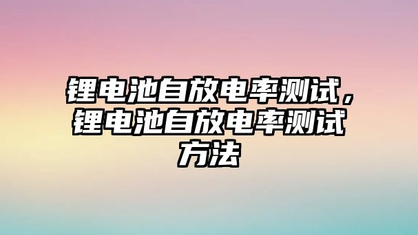 鋰電池自放電率測試，鋰電池自放電率測試方法