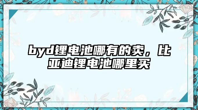 byd鋰電池哪有的賣，比亞迪鋰電池哪里買