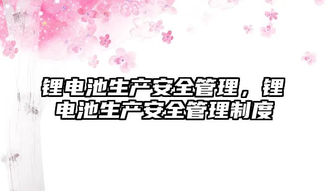 鋰電池生產安全管理，鋰電池生產安全管理制度