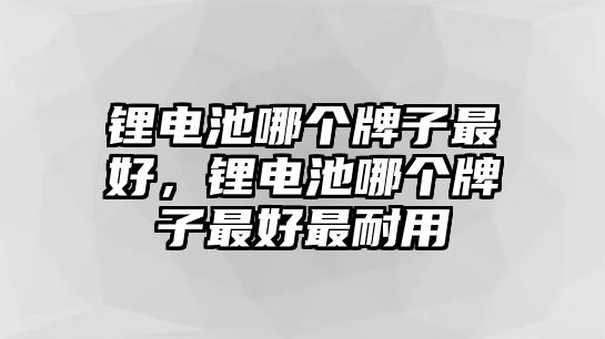 鋰電池哪個牌子最好，鋰電池哪個牌子最好最耐用