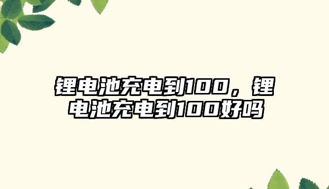 鋰電池充電到100，鋰電池充電到100好嗎