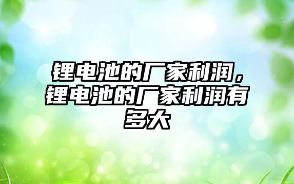 鋰電池的廠家利潤，鋰電池的廠家利潤有多大