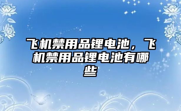 飛機禁用品鋰電池，飛機禁用品鋰電池有哪些